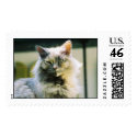 Hemingway cat 3 postage
