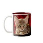 Hemingway Kitten Mug