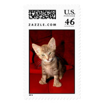 Hemingway Kitten postage