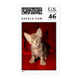 Hemingway Kitten Postage