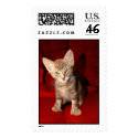 Hemingway Kitten postage