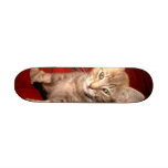 Hemingway Kitten Skateboard
