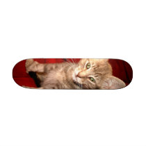 Hemingway-Kätzchen-Skateboard
