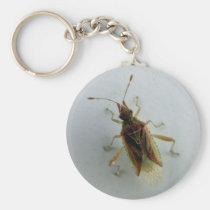 Hemiptera keychains