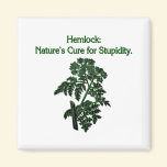 Hemlock: Cure For Stupidity magnets