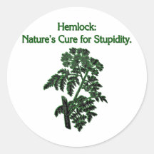 Hemlock: Cure For Stupidity Round Sticker