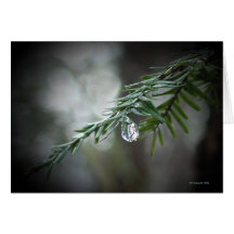 Hemlock Tears  Greeting Cards