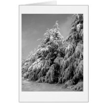 hemlocks cards