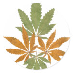 Hemp 01 sticker