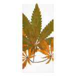 Hemp 03 rack cards