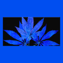 Hemp 03i1bc photo card