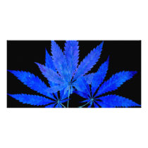 Hemp 03i1bc photo card