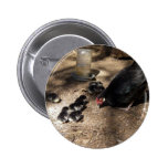 Hen And Baby Chicks Button