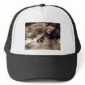 Hen And Baby Chicks Hat by greatphotos Hen And Baby Chicks Hat