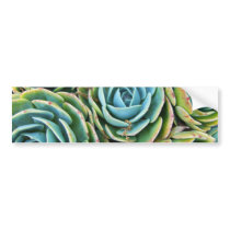 Hen and Chicks bumper stickers by deegolden Hen and Chicks bumper stickers