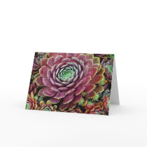 Hen And Chicks Greeting Card