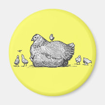 Hen and Chicks Magnet