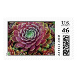 Hen And Chicks postage