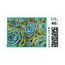 Hen and chicks postage