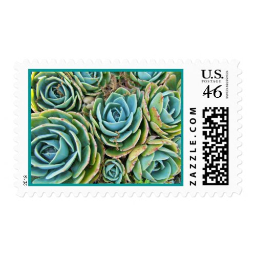 Hen and chicks stamp