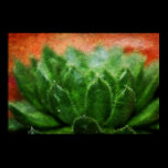 Hen and chicks posters