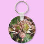 Hen and chicks (Sempervivum) flowers