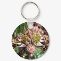 Hen and chicks (Sempervivum) flowers keychains