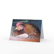 Hen Blank Cards