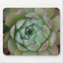 Hen & Chick mousepads