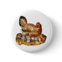 Hen Chicks Babies and Eggs Pins