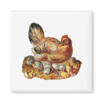Hen Chicks Babies and Eggs Refrigerator Magnet