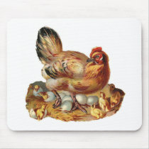 Hen Chicks Babies and Eggs Mousepad