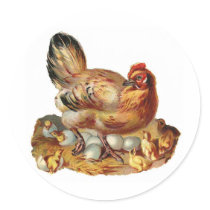 Hen Chicks Babies and Eggs Round Stickers