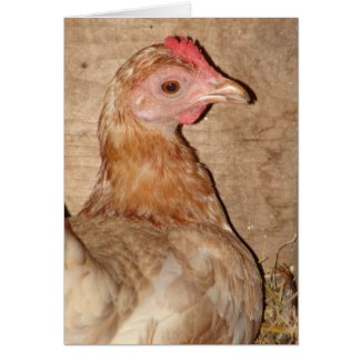 Hen on Nest card