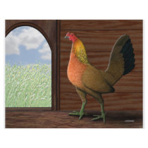 Henhouse View Full Color Flyer