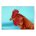 Henny Penny cards by Tainia Henny Penny cards