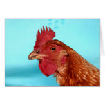 Henny Penny cards
