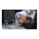 Henry David Thoreau  ANIMAL RIGHTS Quote posters