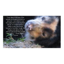Henry David Thoreau ANIMAL RIGHTS Quote posters by all_creatures Henry David Thoreau ANIMAL RIGHTS Quote posters