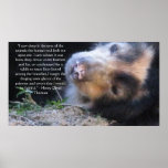 Henry David Thoreau  ANIMAL RIGHTS Quote posters