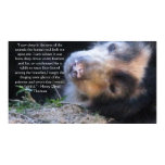 vegetarian, vegan, spirituality, compassion,