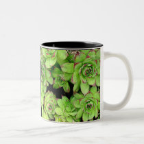 Hens and Chickens Garden Mug