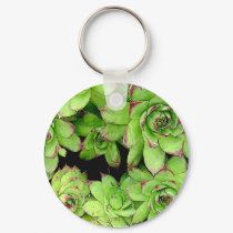 Hens and Chickens Keychain