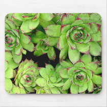 Hens and Chickens Mouse pad mousepads
