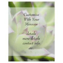 Hens And Chicks - Sempervivum Custom Flyer