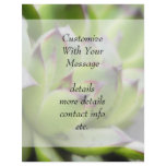Hens And Chicks - Sempervivum Custom Flyer
