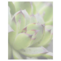 Hens And Chicks - Sempervivum Customized Letterhead