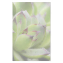 Hens And Chicks - Sempervivum Personalized Stationery