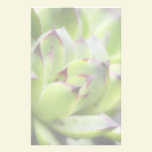 Hens And Chicks - Sempervivum stationery