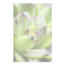 Hens And Chicks - Sempervivum Personalized Stationery